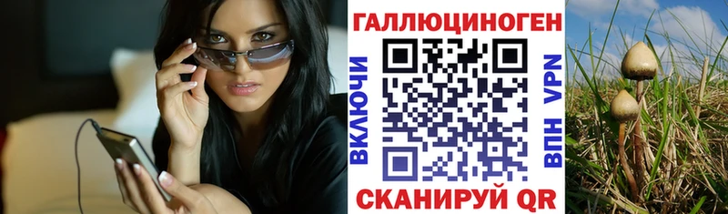 Галлюциногенные грибы Magic Shrooms  купить наркотики цена  Алдан 
